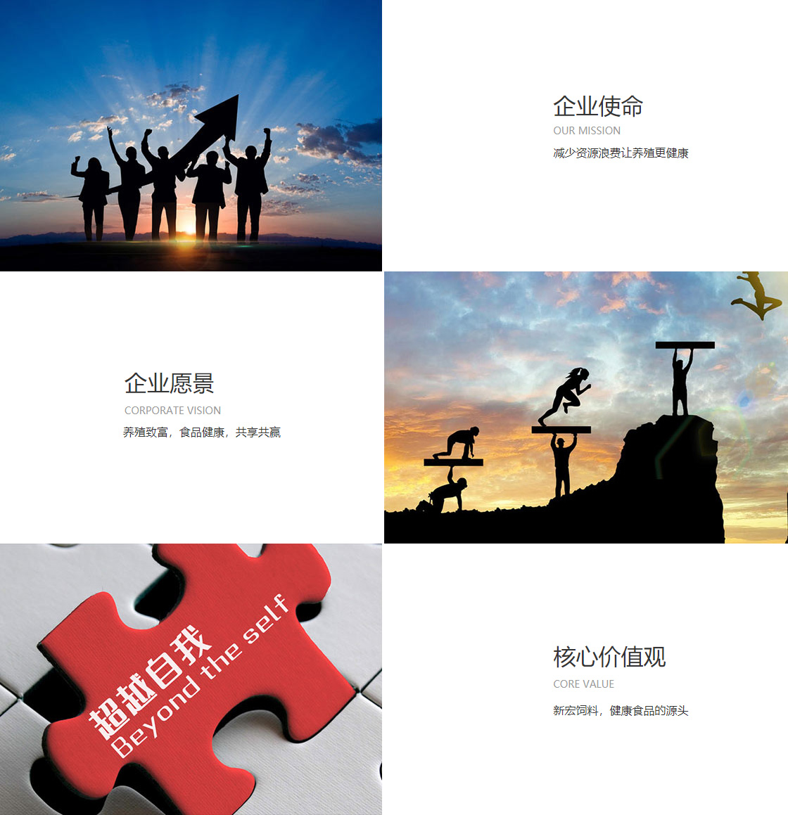 js333金沙线路检测登录入口(图1)